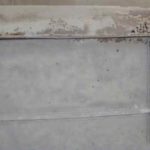 Cforcar Facel Vega Restoration 1 773